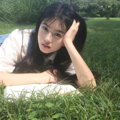 盗走卓别林 海报